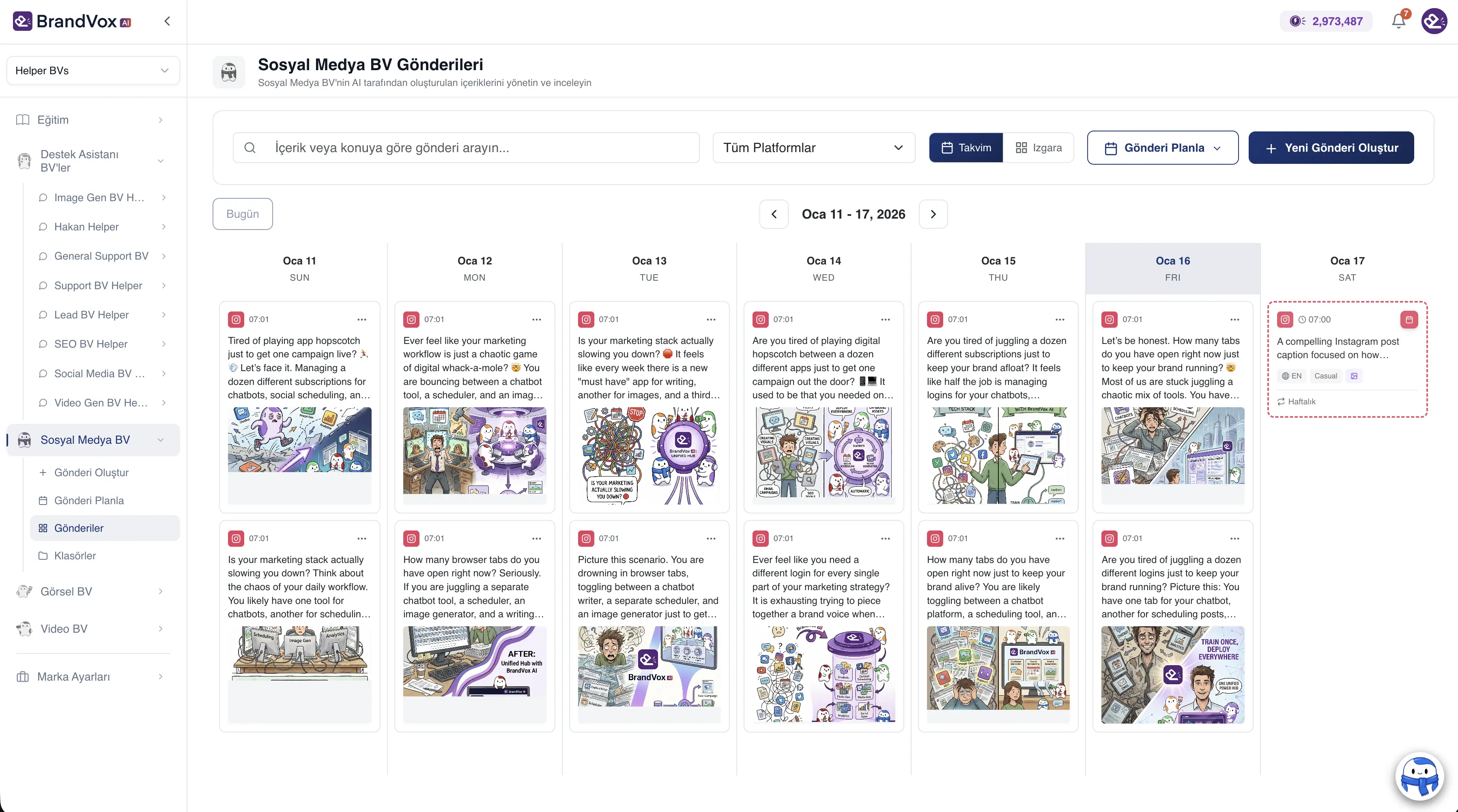 Social Media BV application screenshot