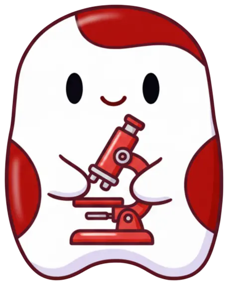 SEO BV Character